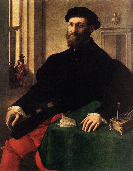 Giulio Campi Portrait of a Man china oil painting image